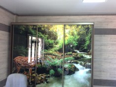 шкаф-купе 302