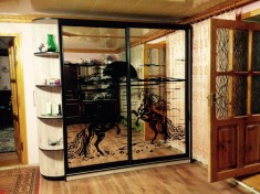 Шкаф-купе291